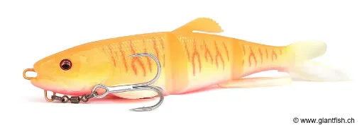 Leurre Souple Megabass Kiss MAG DRAFT Hasu Raver Floating - 36.9 g - 18 cm