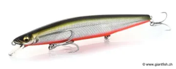 Leurre Coulant Megabass Kiss Marine Gang Cookai 140 S - 14 cm