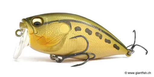 Leurre Flottant Megabass Kiss Over Rev Crank - 7.1 cm