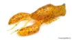 Bild von Weicher Köder Megabass Sleeper Craw - 7.7 cm