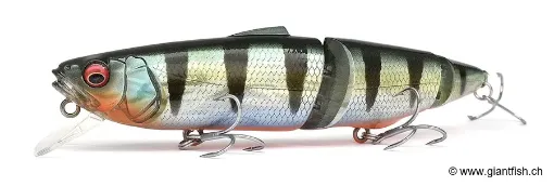 Leurre Flottant Megabass Kiss SuWITCH - 13.7 cm
