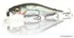 Immagine di Leurre Suspending Megabass Vision 110 Junior - 9.8 cm
