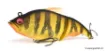 Picture of Floating Lure Megabass Vatalion 115F - 11.5 cm