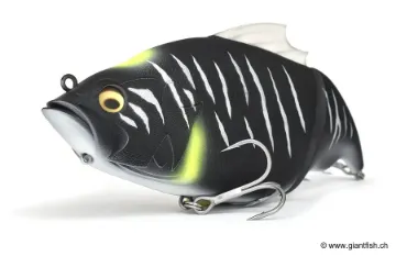 Leurre Flottant Megabass Kiss Vatalion 190 SF - 19 cm