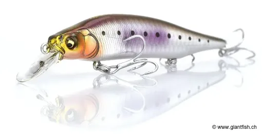 Leurre Coulant Megabass Kiss X80 Magnum - 11.5 cm