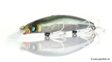 Leurre Coulant Megabass Kiss Zonk 120 SW - 12 cm