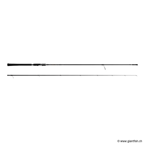 Canne Spinning TENRYU VORTEX RV 9112 S-X