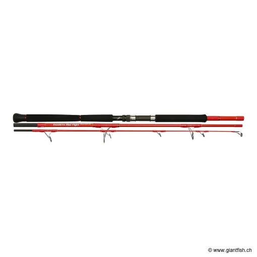 Canne Voyage TENRYU RED FIGHT TRAVEL 120 LBS