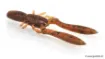 Leurre Souple Megabass BOTTLE SHRIMP 2.4"""" - 6 cm