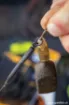 Picture of FOX Edges Kwik Change Heli Swivels
