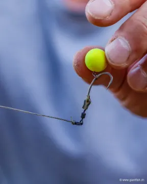 Émerillon FOX Edges Kwik Change Hook Swivels