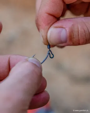 Émerillon FOX Edges Kwik Change Hook Swivels
