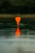 Picture of FOX Exocet Marker Float