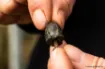 Picture of FOX Edges Removable Flying Back Weights
