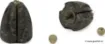 Picture of FOX Edges Removable Flying Back Weights