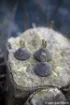 Immagine di Piombo di coda FOX Edges Downrigger Back Weights