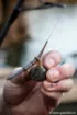 Immagine di Piombo di coda FOX Edges Downrigger Back Weights