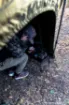 Bild von FOX Bivvy Tisch
