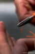 Image de Elastique FOX Edges Marker Elastic
