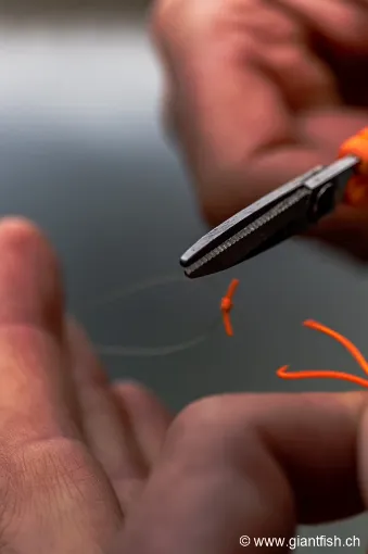 Elastique FOX Edges Marker Elastic