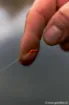 Image de Elastique FOX Edges Marker Elastic