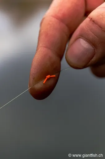 Elastique FOX Edges Marker Elastic