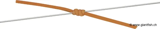 Elastique FOX Edges Marker Elastic
