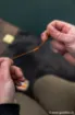 Image de Elastique FOX Edges Marker Elastic