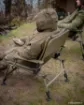 Image de Chaise FOX Voyager Recliner Chair Standard