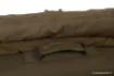 Picture of Bedchair FOX Duralite + All Season System