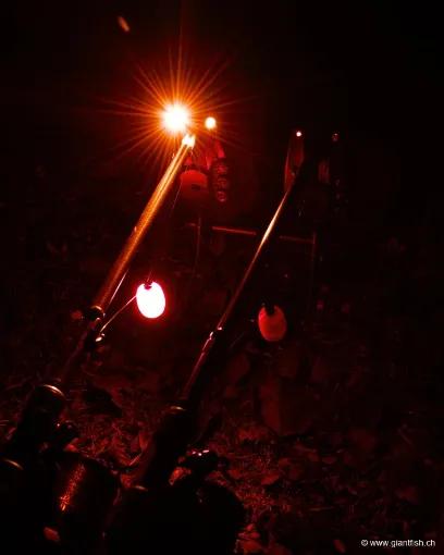 Swinger FOX Black Label Dumpy Halo Bobbin - Vert