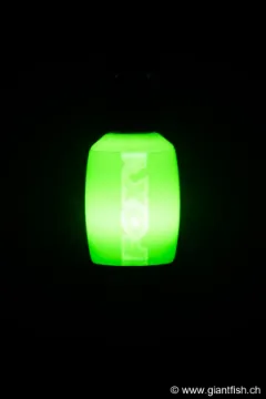 Swinger FOX Black Label Dinky Halo Bobbin - Vert