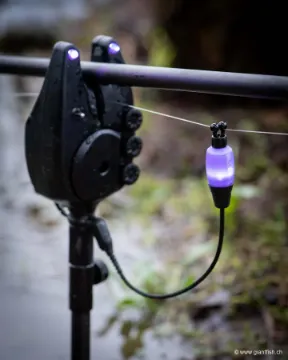 Swinger FOX Black Label Dinky Halo Bobbin - Violet