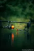 Image de Tresse Coulante FOX Submerge Orange Sinking Braid