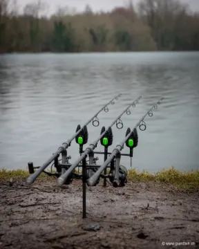 Pique FOX Black Label Carbon Banksticks
