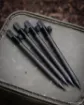Immagine di Picchetto FOX Black Label Carbon Banksticks