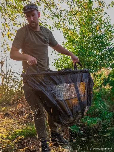 Sac de Pesée FOX Carpmaster STR Weigh Slings
