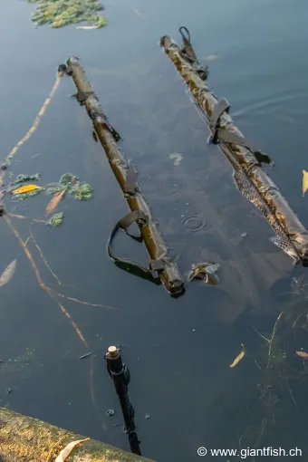 Sac de Pesée FOX Carpmaster STR Weigh Slings