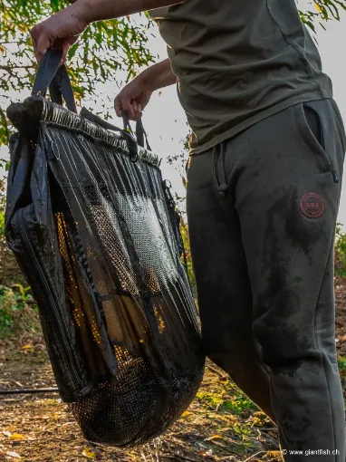 Sac de Pesée FOX Carpmaster STR Weigh Slings