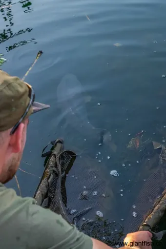 Sac de Pesée FOX Carpmaster STR Weigh Slings