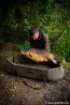 Bild von FOX Carpmaster Welded Mat Abhakmatte