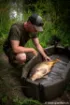 Bild von FOX Carpmaster Welded Mat Abhakmatte