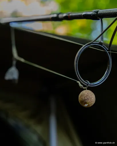 Bas de Ligne Monté FOX Edges Wide Gape Rigs