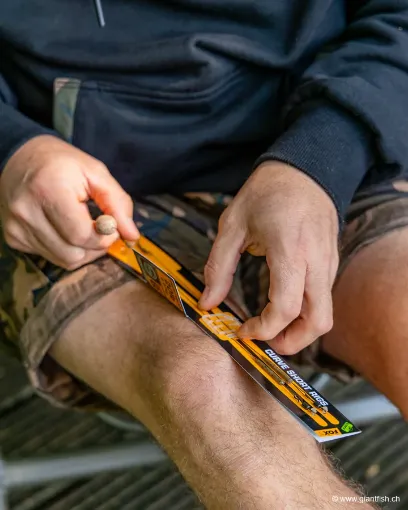 Bas de Ligne Monté FOX Edges Curve Short Rigs