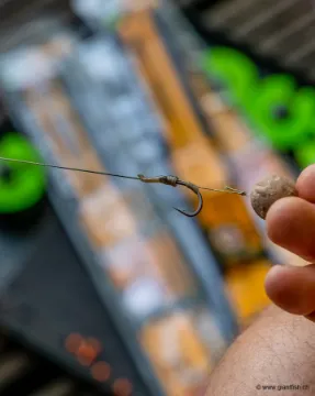 Bas de Ligne Monté FOX Edges Curve Short Rigs