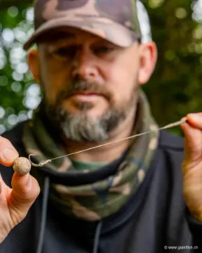 Bas de Ligne Monté FOX Edges Curve Short Rigs