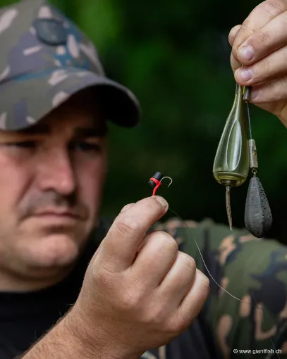 Montage FOX Edges Zig Rigs