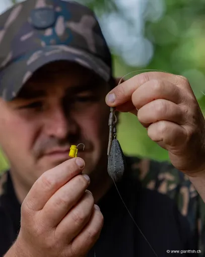 Montage FOX Edges Zig Rigs
