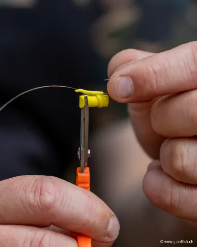 Montage Zig FOX Edges Zig Rigs