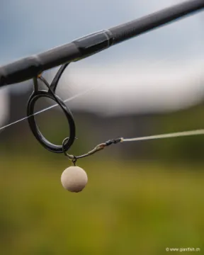 Hameçon FOX Edges Spinner Rig